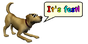 A cool clipart of a golden retriever, saying 'It's fast!' in rainbowy, Comic Sans text. Triangular sunglasses are poorly drawn onto its eyes.