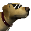 APP ICON: QUICK MATHS. IMAGE DESCRIPTION: The head and upper torso of a golden retriever with poorly drawn triangular sunglasses on.